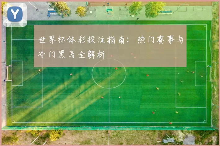 世界杯体彩投注指南:热门赛事与冷门黑马全解析
