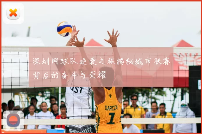 深圳网球队逆袭之旅揭秘城市联赛背后的奋斗与荣耀