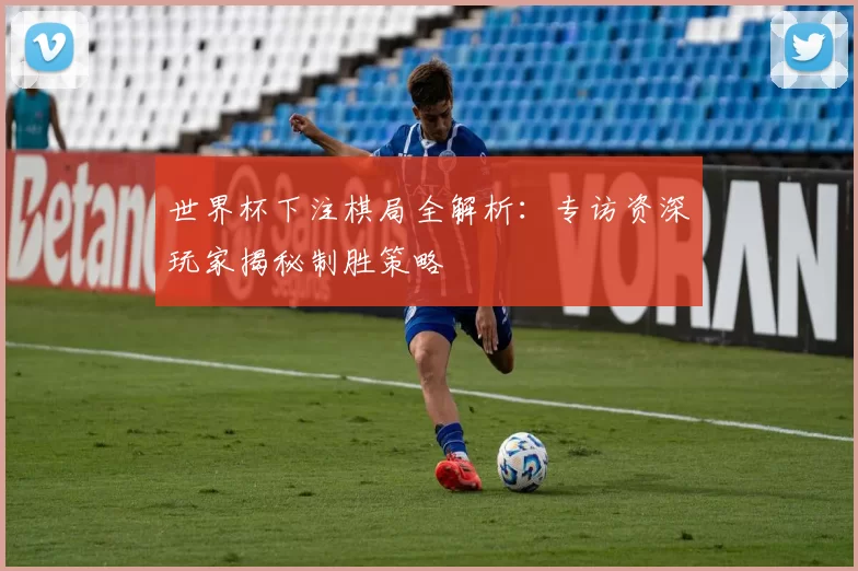 世界杯下注棋局全解析:专访资深玩家揭秘制胜策略