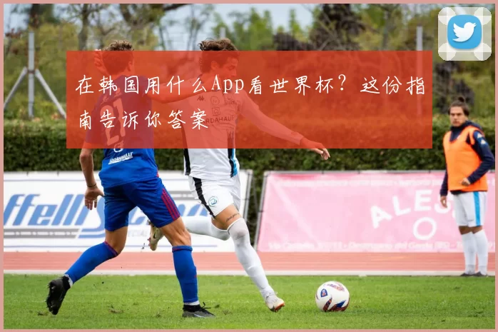 在韩国用什么App看世界杯？这份指南告诉你答案