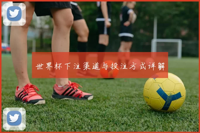 世界杯下注渠道与投注方式详解