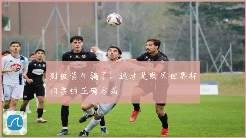 别被黄牛骗了!这才是购买世界杯门票的正确方式